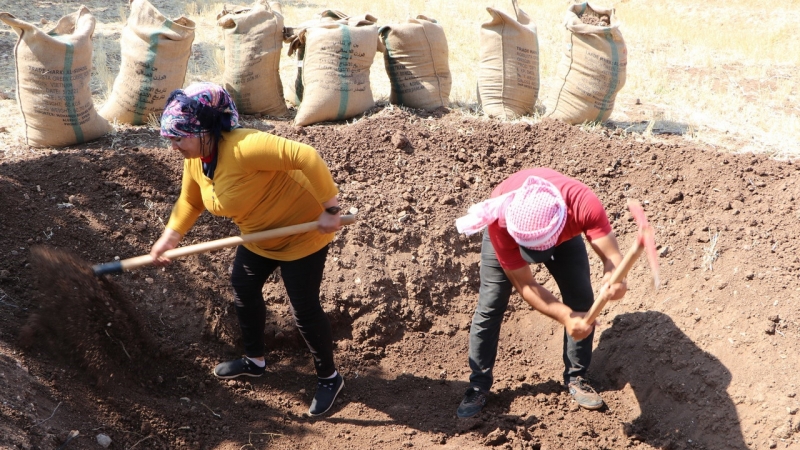 Женщины строят оборонительные позиции в Шахбе