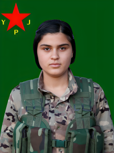 Командование ЖОС сообщило о гибели двух бойцов